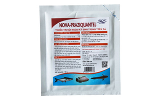 Trị ký sinh trùng bên ngoài và trọng ruột cá Nova-Praiquantel 100g